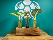 Load image into Gallery viewer, Handcrafted 3 Tube Plant Propagator + Gift Box | Plant Lovers Gift | Gifts For Her | Plant Cuttings | + Free Plant Care App Membership
