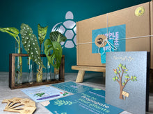 Load image into Gallery viewer, Plant Propagation Station Gift Set + Gift Box | Plant Lovers Gift | Gifts For Her | Grow Your Own Plants | + Free Plant Care App Membership
